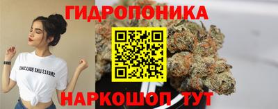 молекула духа Шахты