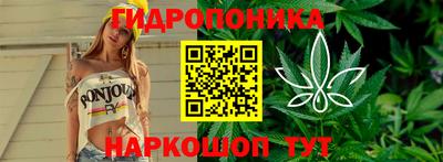 винт Шелехов