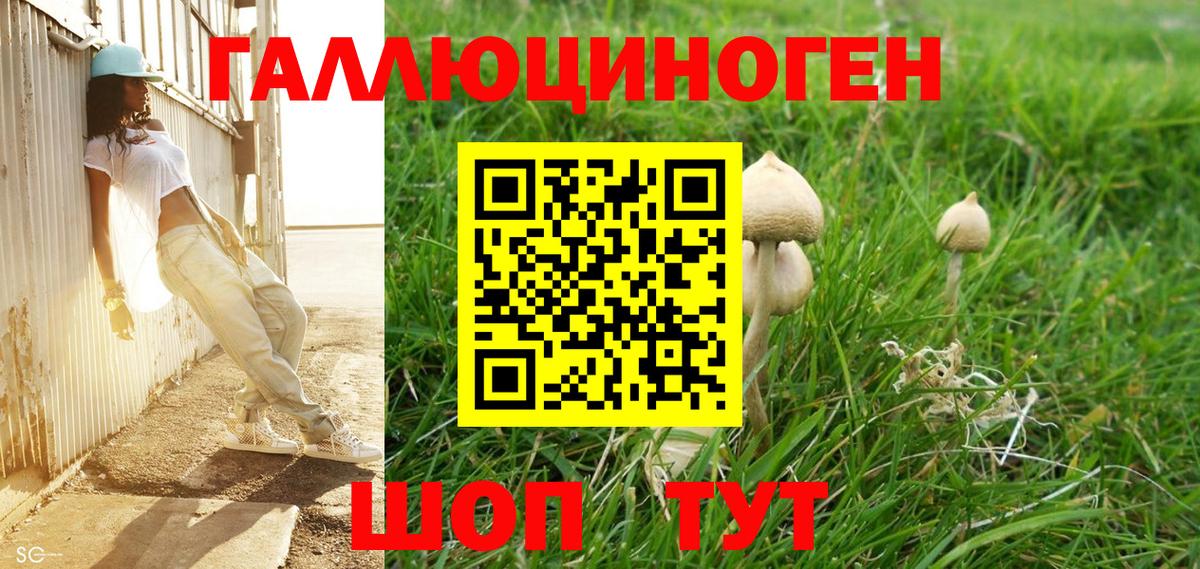 Псилоцибиновые грибы Magic Shrooms  Вход с VPN  Аша  как найти закладки  Галлюциногенные грибы Cubensis 